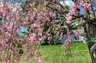 8 Samson St, Pittsfield, MA 01201 - Photo 51