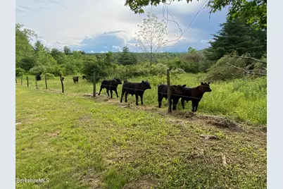 499 Gale Ave, Pittsfield, MA 01201 - Photo 5