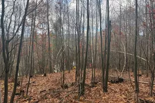 100 N Hoosac Rd, Williamstown, MA 01267 - Photo 25