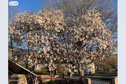 13 Water St, Adams, MA 01220 - Photo 15