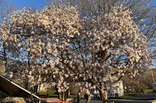 13 Water St, Adams, MA 01220 - Photo 15