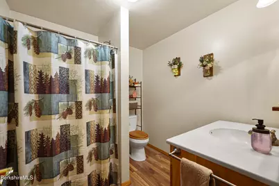 567 George Schnopp Rd, Hinsdale, MA 01235 - Photo 37