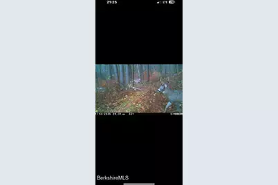 Churchill St, Pittsfield, MA 01201 - Photo 7