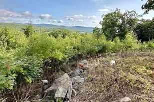 26A Stonebridge Way, Tyringham, MA 01264 - Photo 43