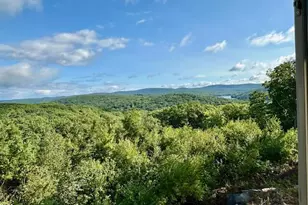 26A Stonebridge Way, Tyringham, MA 01264 - Photo 47