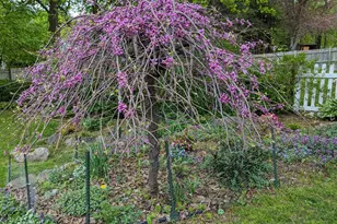 135 Allengate Ave, Pittsfield, MA 01201 - Photo 45