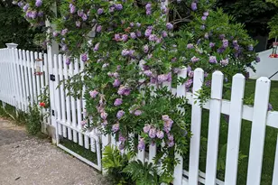 135 Allengate Ave, Pittsfield, MA 01201 - Photo 39