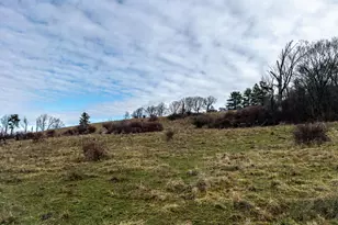 1130 E Rd, Richmond, MA 01254 - Photo 41