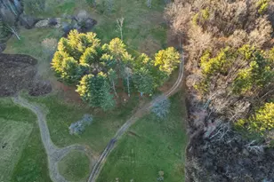 407 Churchill St, Pittsfield, MA 01201 - Photo 7