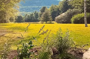 14 Old Tree Farm Rd, Stockbridge, MA 01262 - Photo 59