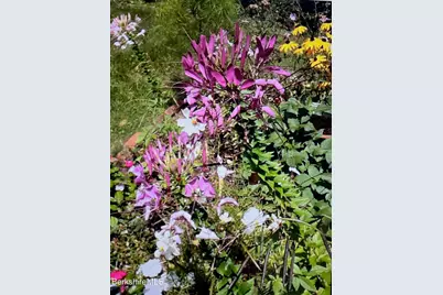 60 Churchill Crest, Pittsfield, MA 01201 - Photo 31