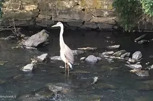 4 Main St, West Stockbridge, MA 01266 - Photo 17