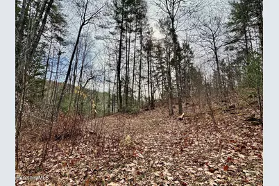 0 W Oxbow Rd, Charlemont, MA 01339 - Photo 5