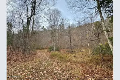 0 W Oxbow Rd, Charlemont, MA 01339 - Photo 1