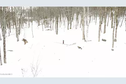 140 Strykers Rd, Florida, MA 01247 - Photo 15