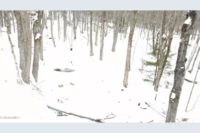 140 Strykers Rd, Florida, MA 01247 - Photo 19