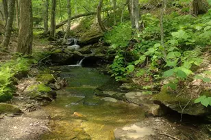 140 Strykers Rd, Florida, MA 01247 - Photo 1