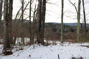 44 C Mt Washington Rd, Egremont, MA 01230 - Photo 3