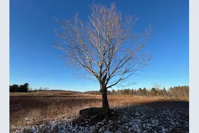 0 Swamp Rd, Richmond, MA 01254 - Photo 13