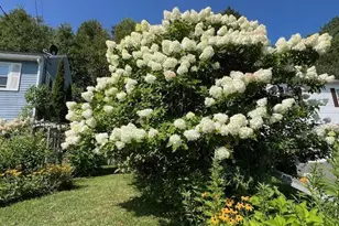 215 Partridge Rd, Pittsfield, MA 01201 - Photo 5