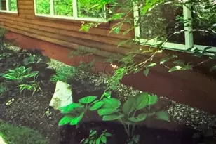 40 Prospect Hill Rd, Stockbridge, MA 01262 - Photo 47