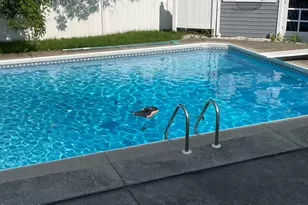 26 Brookside Dr, Pittsfield, MA 01201 - Photo 45