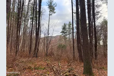 0 Glendale Rd, Stockbridge, MA 01262 - Photo 3