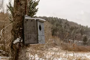 356 Slate Hill Rd, Austerlitz, NY 12017 - Photo 51