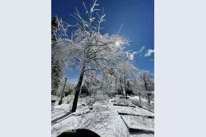 13 Jordan Rd, Cummington, MA 01026 - Photo 49