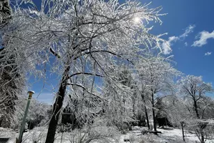 13 Jordan Rd, Cummington, MA 01026 - Photo 49