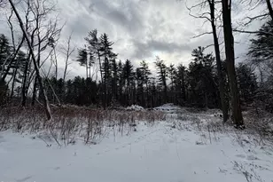 117 Lime Kiln Rd, Lenox, MA 01240 - Photo 1