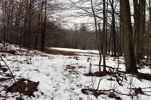 159 Simmons Rd, Washington, MA 01223 - Photo 3