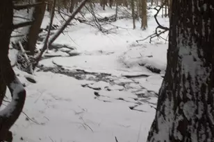 159 Simmons Rd, Washington, MA 01223 - Photo 5