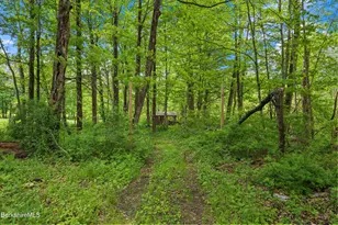 295 Blair Rd, Williamstown, MA 01267 - Photo 91