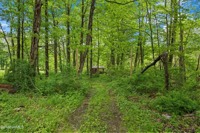 295 Blair Rd, Williamstown, MA 01267 - Photo 29
