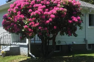 162 Bull Hill Rd, Lanesborough, MA 01237 - Photo 3