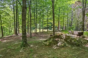 173 Hillsdale Rd, Egremont, MA 01258 - Photo 17