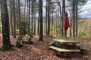 173 Hillsdale Rd, Egremont, MA 01258 - Photo 17