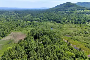 173 Hillsdale Rd, Egremont, MA 01258 - Photo 11