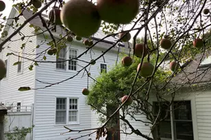 139 W Center Rd, West Stockbridge, MA 01266 - Photo 35