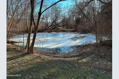 66 Anthony St, Copake Falls, NY 12516 - Photo 3