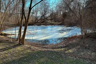 66 Anthony St, Copake Falls, NY 12516 - Photo 3