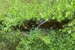 14 Blotz Rd, Washington, MA 01223 - Photo 27