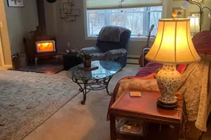 14 Blotz Rd, Washington, MA 01223 - Photo 5