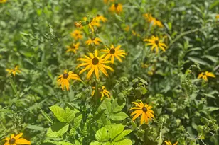 14 Blotz Rd, Washington, MA 01223 - Photo 25