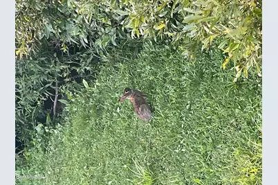 14 Blotz Rd, Washington, MA 01223 - Photo 19