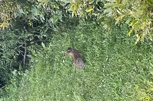 14 Blotz Rd, Washington, MA 01223 - Photo 19