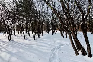 1200 West St, Pittsfield, MA 01201 - Photo 73