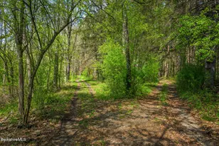 311 Co Rd 13 Rd, Old Chatham, NY 12136 - Photo 55