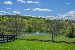 311 Co Rd 13 Rd, Old Chatham, NY 12136 - Photo 49